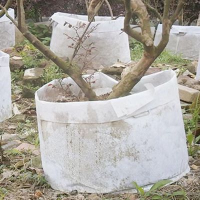 Tùy chỉnh Bán chạy nhất vải không dệt túi thực vật có thể phân hủy sinh học thoáng khí flet cây phát triển túi lớn túi ươm cây có tay cầm